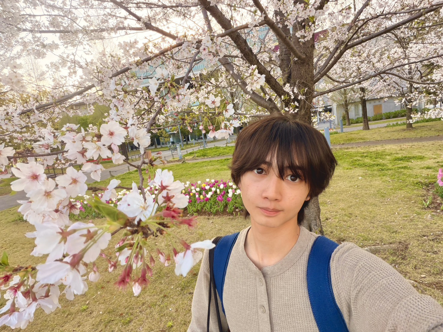 1人花見してきたよ🌸