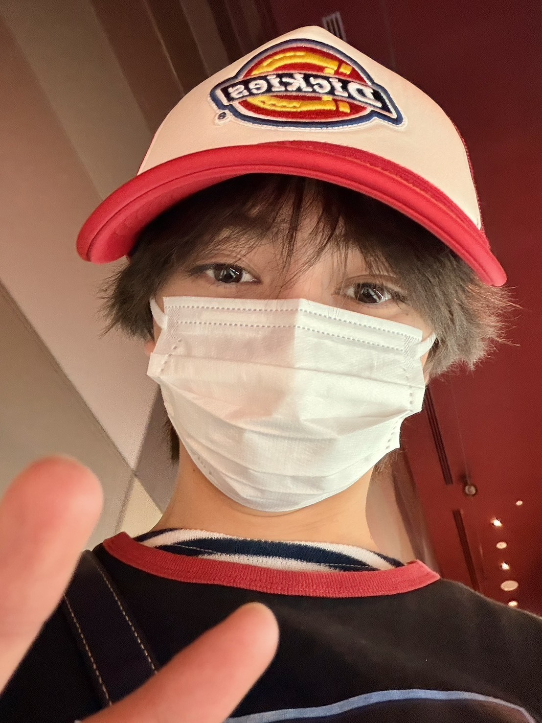 トイ・ストーリーだいすき！！🐴🤠🚀🐸🧻